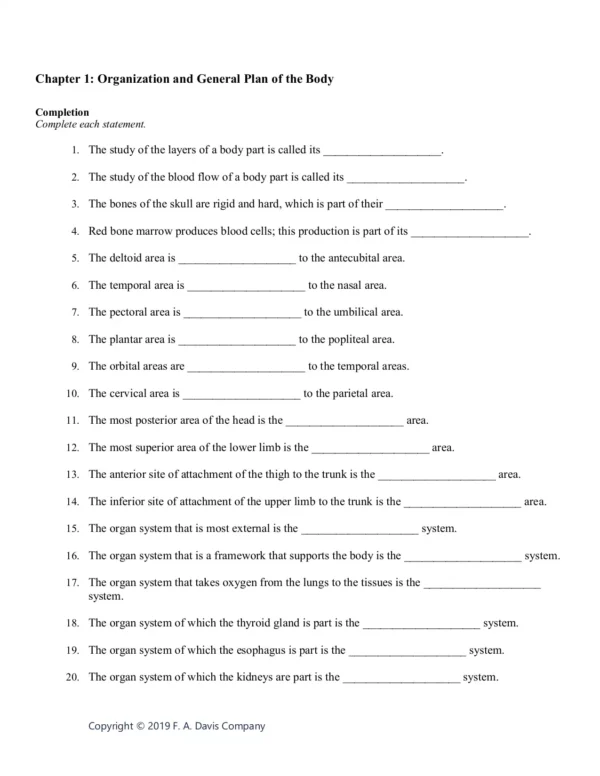 Essentials Of Anatomy And Physiology 8th Edition Valerie C. Scanlon Test Bank - Image 2